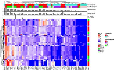 Human genes with relative synonymous codon usage analogous to that of polyomaviruses are involved in the mechanism of polyomavirus nephropathy